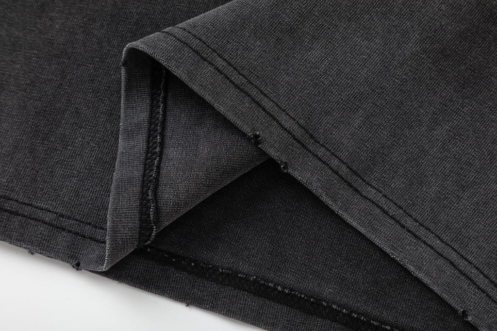 AMlRl High Lion T-Shirt